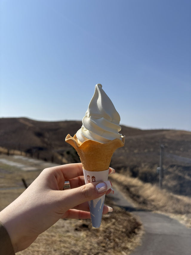 【熊本 阿蘇】大観峰⛰️を一望しよう！