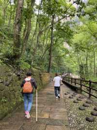 🌿🏔️Zhangjiajie: A Must-Visit Floating Mountains & Scenic Trails 