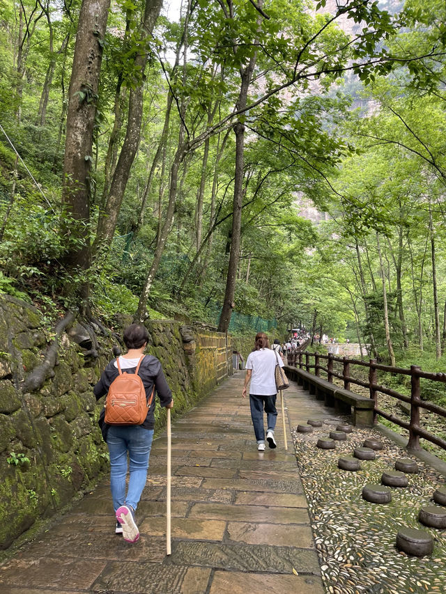 🌿🏔️Zhangjiajie: A Must-Visit Floating Mountains & Scenic Trails 