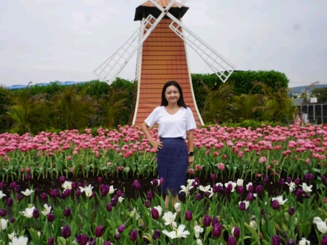 台中中社花海