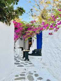 Spring in Mykonos: A Floral Wonderland