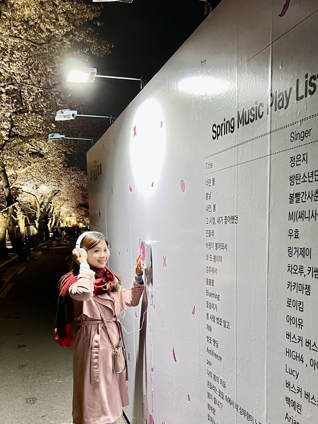 Dancing in Pink: A Dreamy Night of Sakura & Starlight in Gyeongju