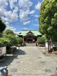 Springtime at Kameido Tenjin Shrine🌸
