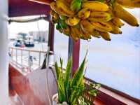 Akoya Pearl Sailing Cruise: A Luxurious Ocean Escape