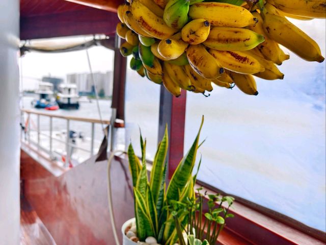 Akoya Pearl Sailing Cruise: A Luxurious Ocean Escape
