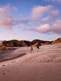 Wharariki Beach: An Adventure Worth the Stunning View✨️🌊