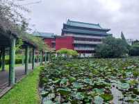 #臺北植物園-臺北市中正區