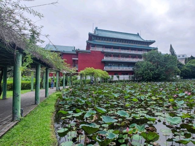 #臺北植物園-臺北市中正區