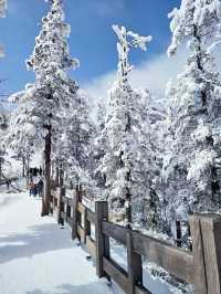 Xiling Snow Mountain❄️⛄️🎿🏂