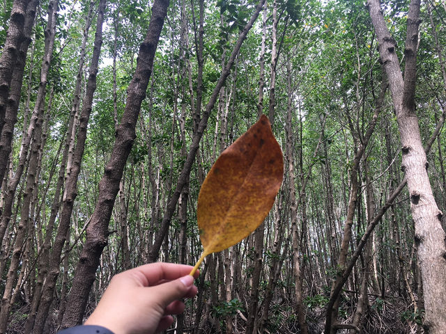 หาดลับชุมพร
