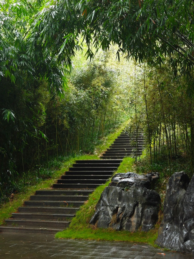 Nanning 🌏 🌱 