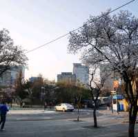 Finding your soul in Seoul 