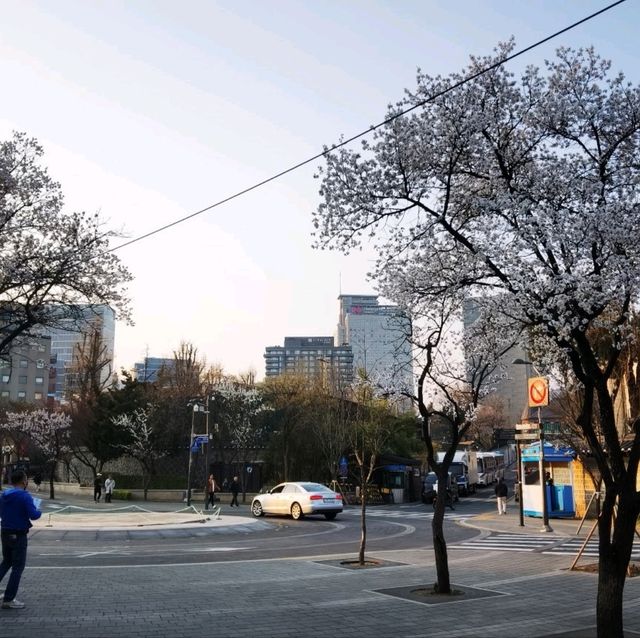Finding your soul in Seoul 