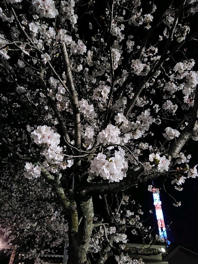 【山口グルメ】春来軒・やきそば・ばりそば