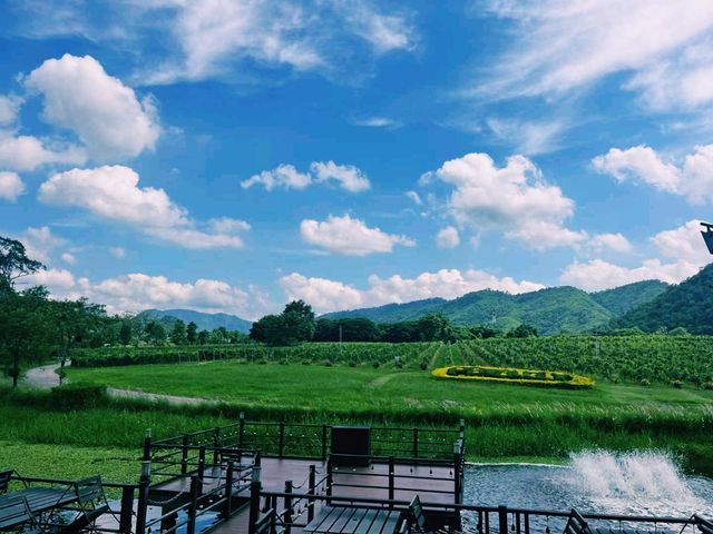 泰國曼谷附近最美國家公園景點：考艾國家公園，適合打卡拍照📸