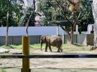 Manila Zoological and Botanical Garden