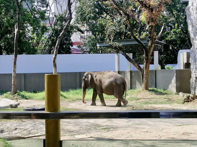 Manila Zoological and Botanical Garden