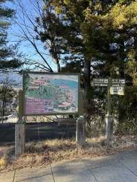 搭天上山公園纜車🚡鳥瞰河口湖嘆絕景富士山🗻