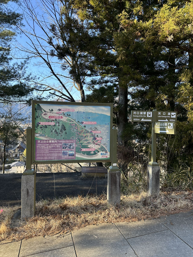 搭天上山公園纜車🚡鳥瞰河口湖嘆絕景富士山🗻