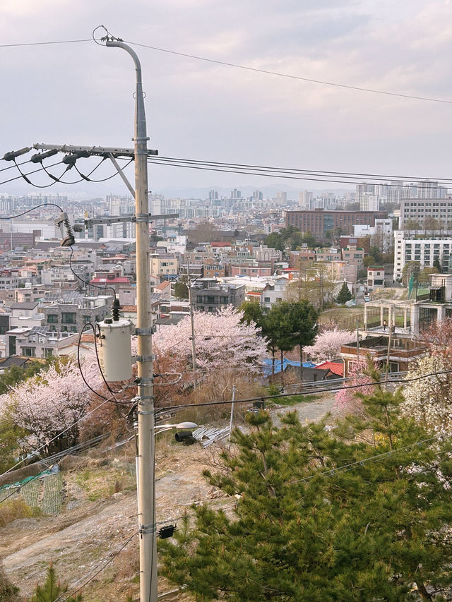 청주 도심 속 감성 뷰포인트, 수암골 전망대🤍💛