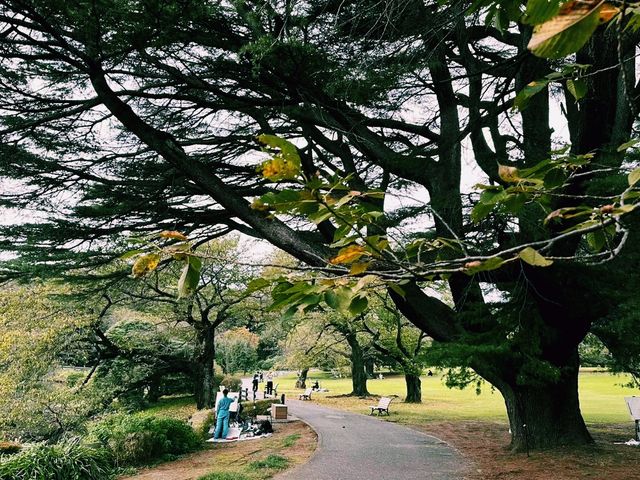 日本東京著名公園景點：新宿御苑，適合打卡拍照📸
