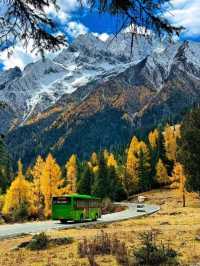 Where Colors Come Alive: Jiuzhaigou in Autumn