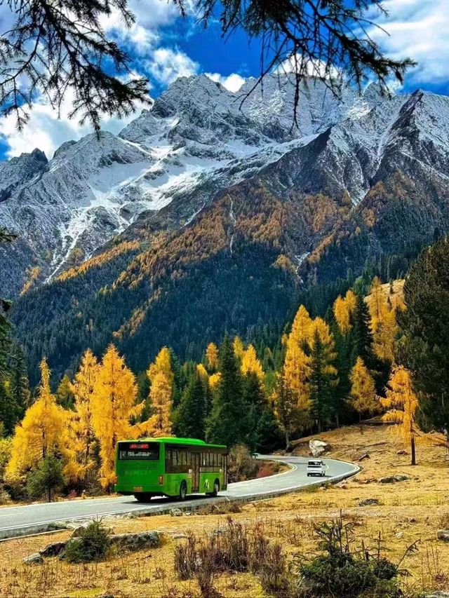 Where Colors Come Alive: Jiuzhaigou in Autumn