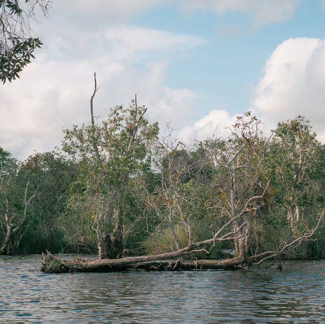 สวนพฤกษศาสตร์ ระยอง 🚣🏻‍♀️🌳