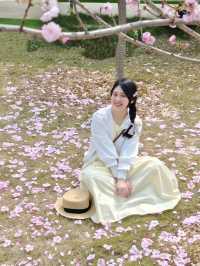 💓盈香心動樂園打卡篇