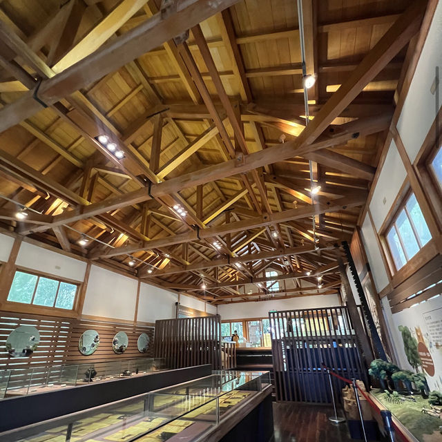 阿里山博物館區 Alishan Museum Area