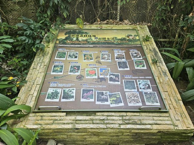 親近自然和學習生態知識的植物園