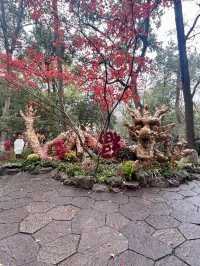 Lingyin Temple: Where Buddhas Dance in Forest Shadows 🌄🙏
