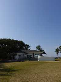 【志摩市】干し芋好き必見！海を眺める芋カフェ🍠🌊