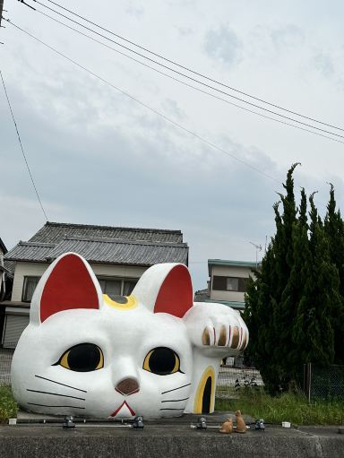 愛知】巨大まねきねこ とこにゃん | Trip.com 常滑
