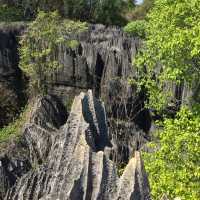走進另一個世界｜Tsingy De Bemaraha National Park