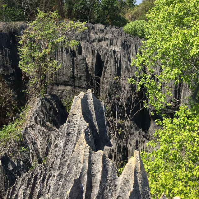 走進另一個世界｜Tsingy De Bemaraha National Park
