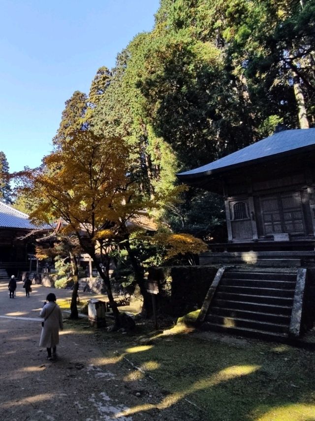 姬路城周邊必去秘境，書寫山圓教寺的森林修行時光。