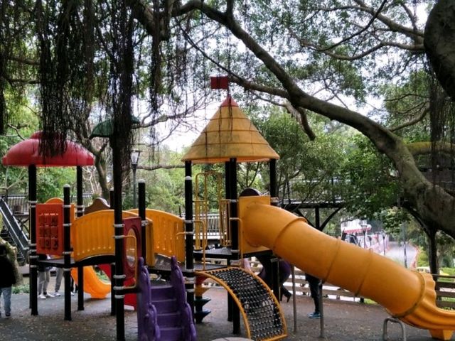 #奧爾森林學堂-桃園市桃園區