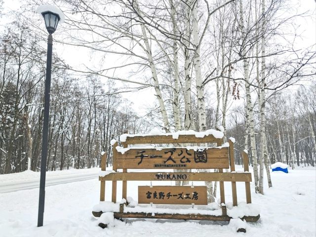 北海道旅遊🥳富良野起司工房😍品嚐出產最馳名的起司牛奶奶油類食品🧀