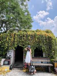 Hidden in Bloom: The Coffee Cottage Penang’s Dreamy Escape 🌼