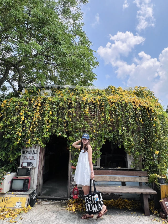 Hidden in Bloom: The Coffee Cottage Penang’s Dreamy Escape 🌼