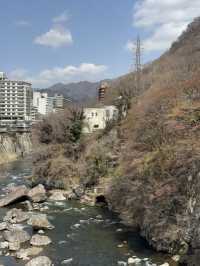 【栃木】鬼の大階段を見に行こう!!