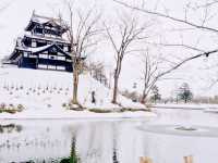 Snowflakes, Lanterns & Surprises — My Winter Escape to Joetsu-Takada