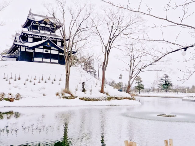 Snowflakes, Lanterns & Surprises — My Winter Escape to Joetsu-Takada