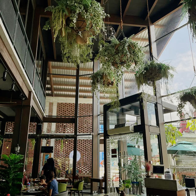 Quirky Comforts at Grumpy Goat Cafe