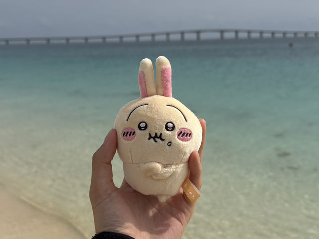 【宮古島】初シュノーケリング！