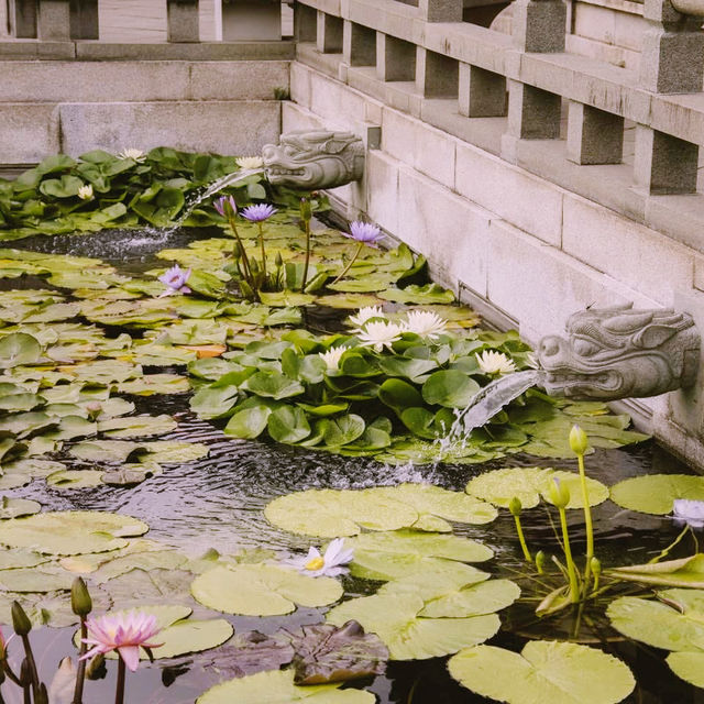 Tranquility Amidst the City: A Visit to Nan Lian Garden