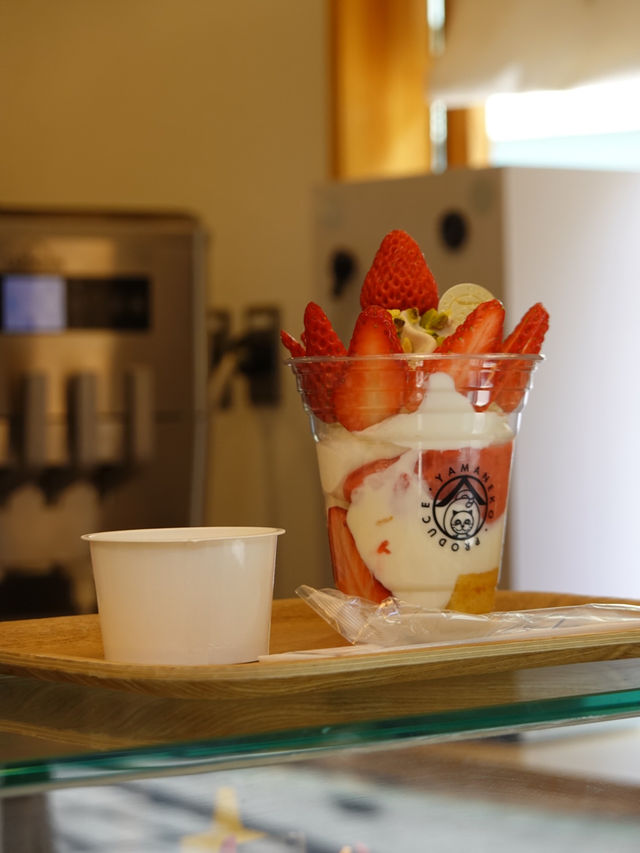 【千葉】大多喜で味わう旬の贅沢ジェラート🍨