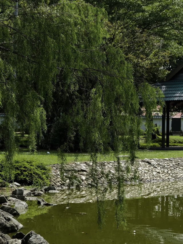 Taman Jepun (Japanese Garden) in Ipoh: A Serene Retreat