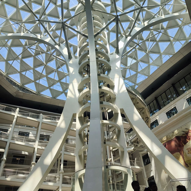 A Journey Through Nature: National Museum of Natural History 